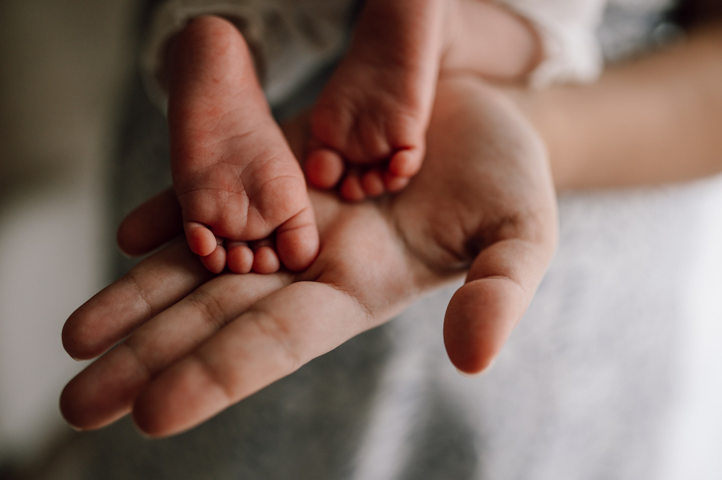 A parent holds a newborn’s small feet in one open hand.